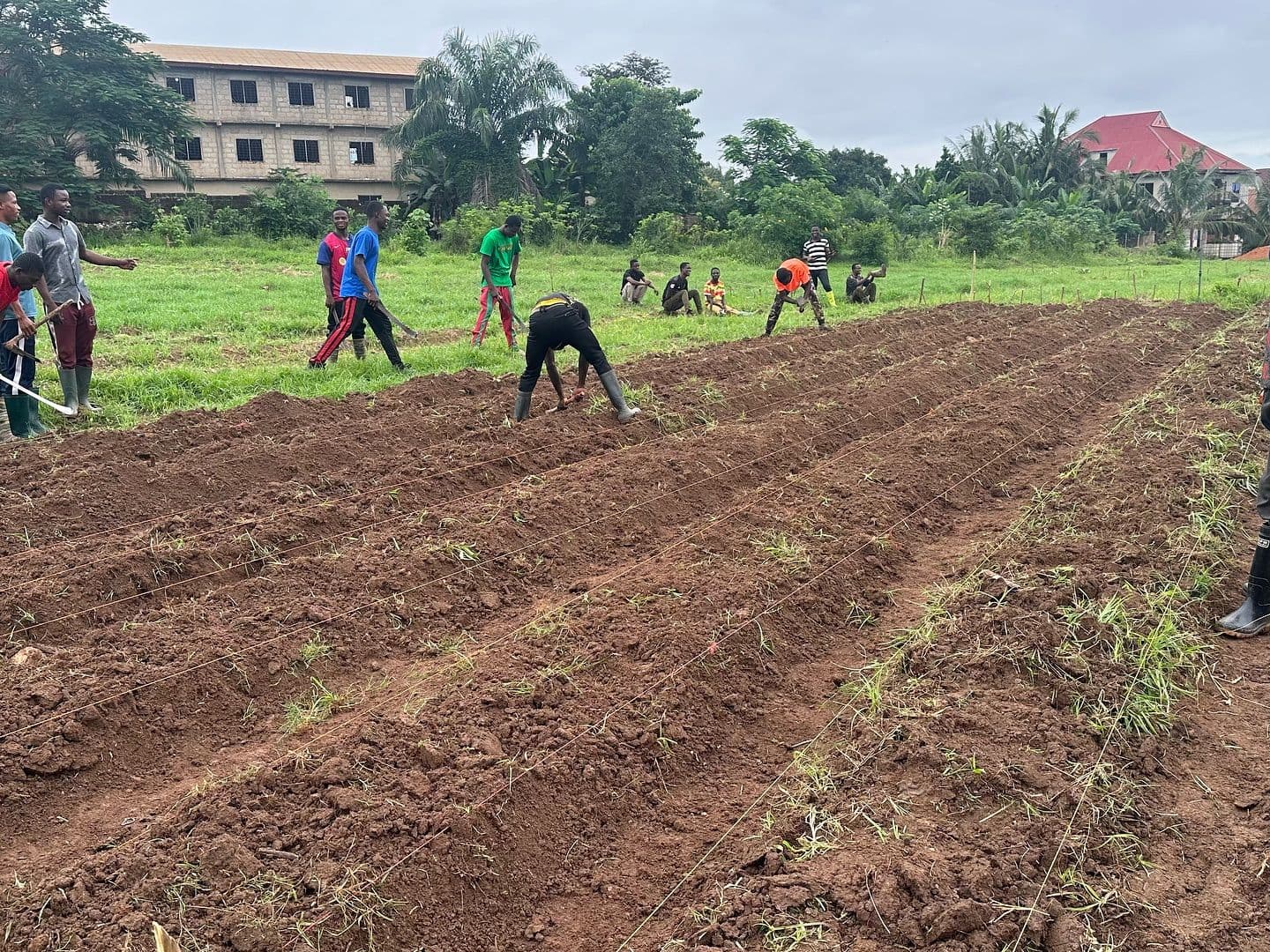 Home Garden Vegetable Production